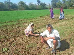 Rajasthan-farmer