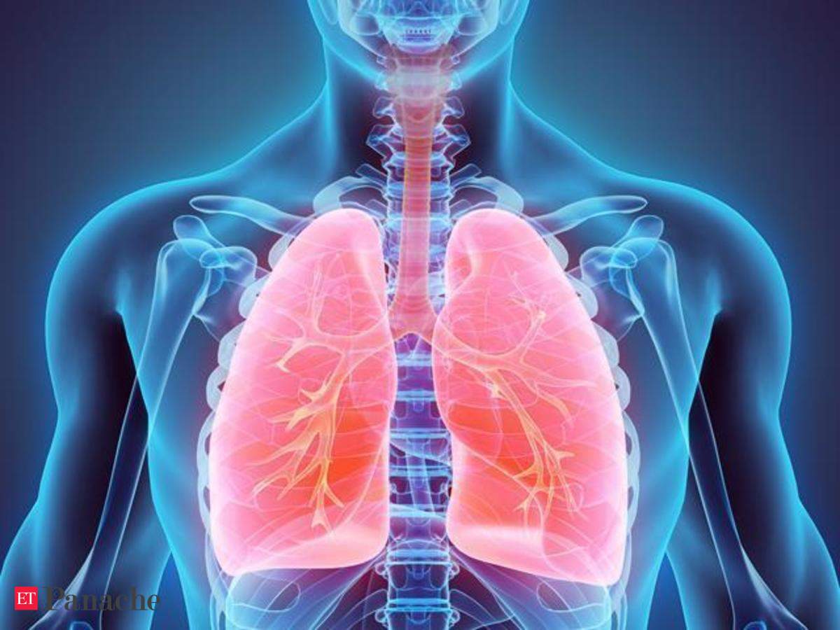 mesothelioma legal information in english