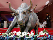 Bull---BCCL