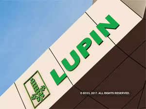 Lupin