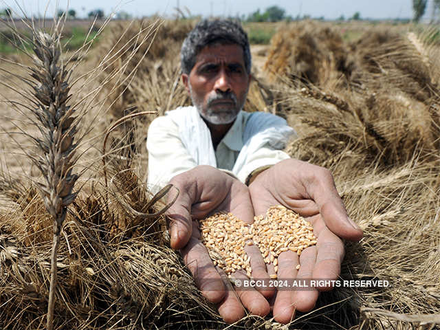 To feed nine billion people