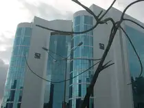 Sebi-bccl