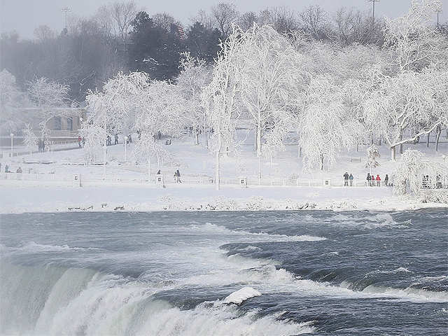 ​Frosted trees​