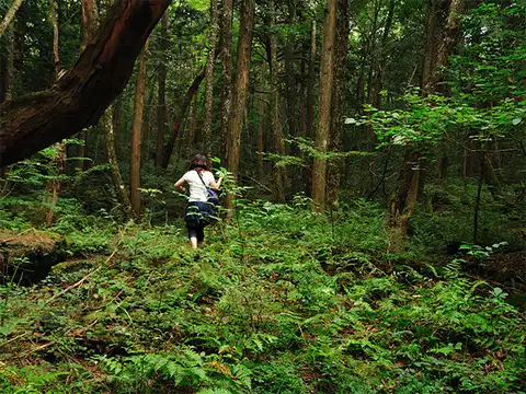 Japan's shockingly high suicide rate
