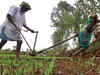 Maharashtra government takes cos to farmers, forms land pools