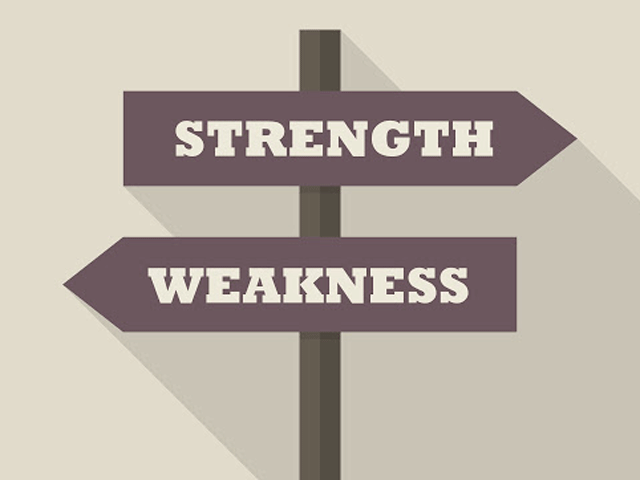 Strengths and Key risks