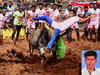 Jallikattu: Spectator gored to death by bull in Madurai