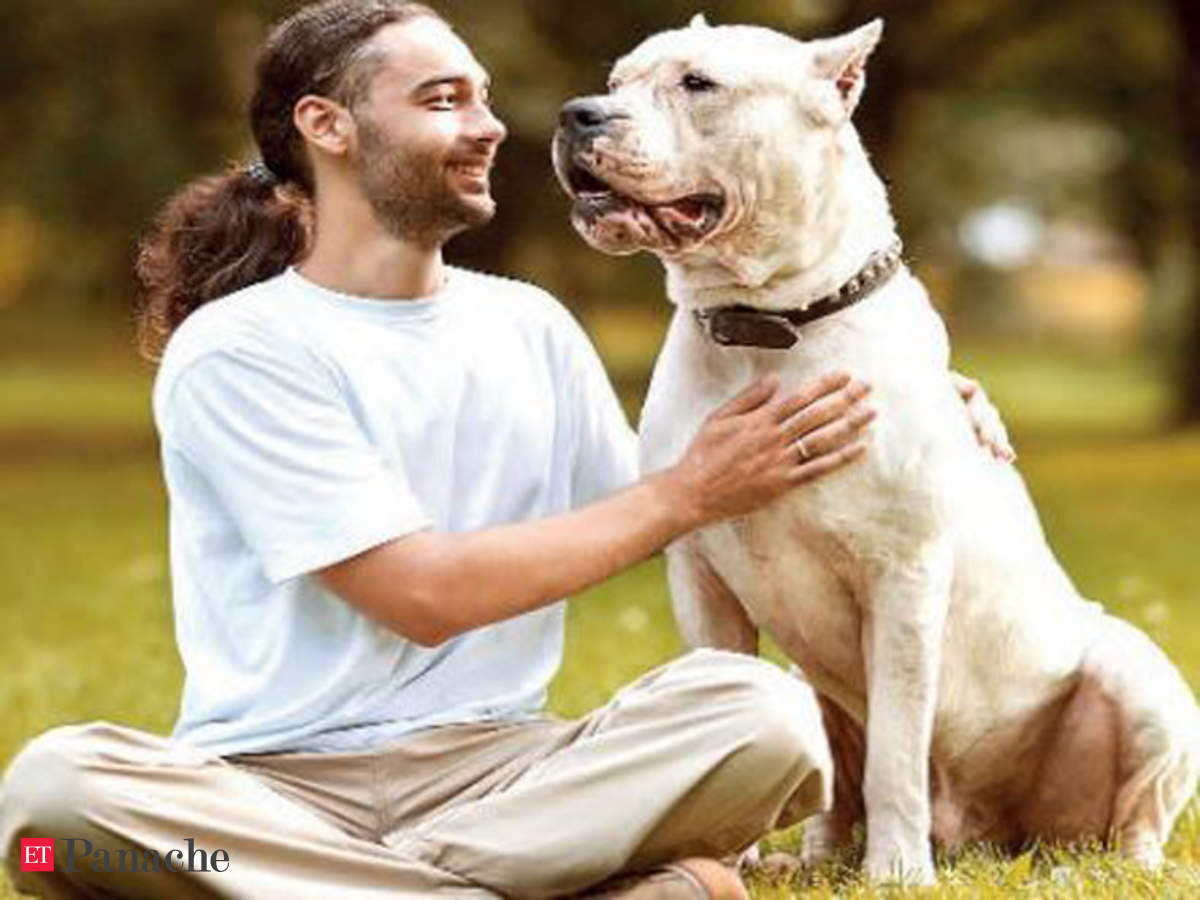 Human-dog Relationship: Chinwagging with man's best friend - The Economic  Times