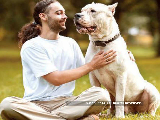 Human-dog relationship