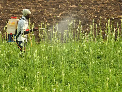 Farmers and the agricultural sector