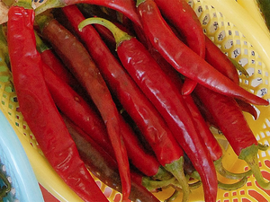 Red chilli to turn costlier by March