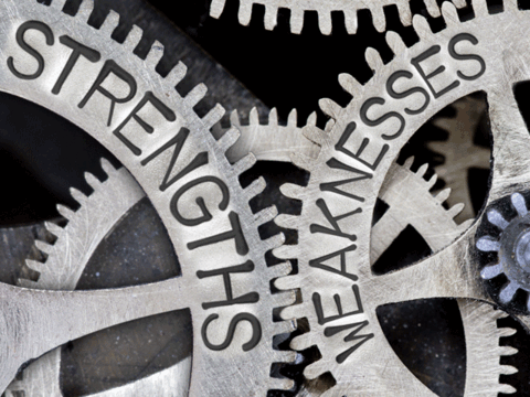 STRENGTHS AND KEY RISKS