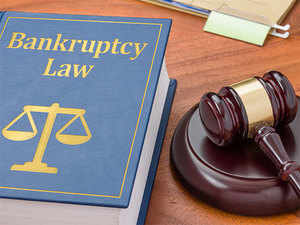 Image result for us insolvency court