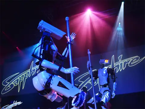 Pole-Dancing Robot