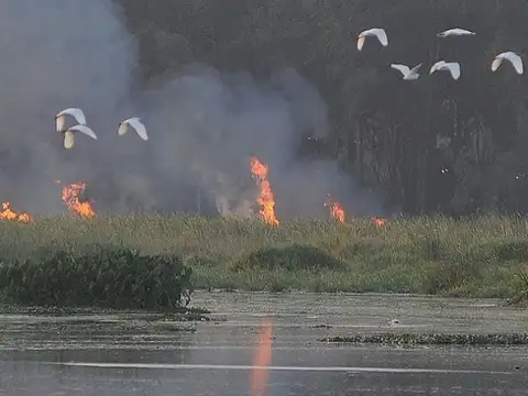 A raging fire