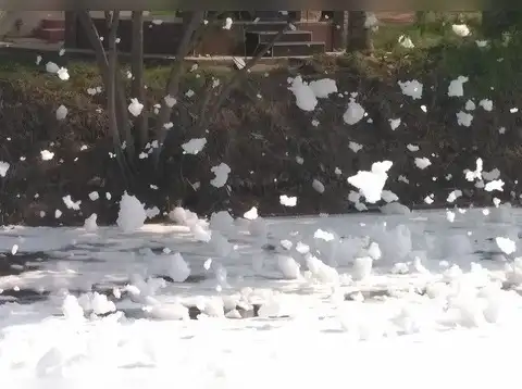 A frothy affair