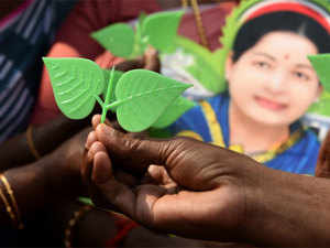 aiadmk-symbol