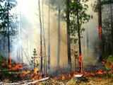 Flames in parched forest in Ukraine