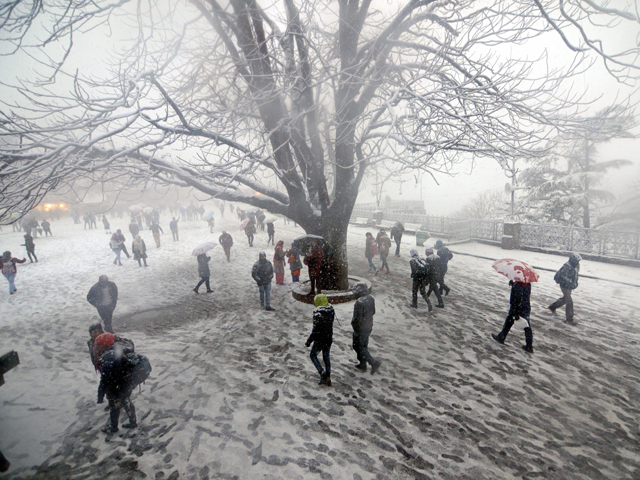 Snowy landscape in Shimla will stay for one-two days