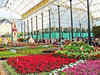 The Lalbagh Flower Show which began in 1900s was inspired by the Chelsea Flower Show