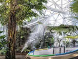 Amazon’s spheres, where workers chill in a rainforest