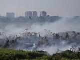 Steps to manage dust now a must for all polluted cities