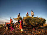 Agriculture sector to grow 2.1%: Can it double farm income by 2022? 1 80:Image