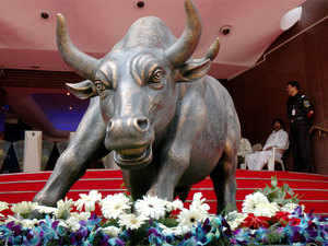 Bull---BCCL