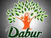 Watch: Dabur Q3 net profit up 13 pct to Rs 333 crore