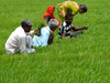 Hike in MSP without plans of implementation won't help farmers, say farm leaders