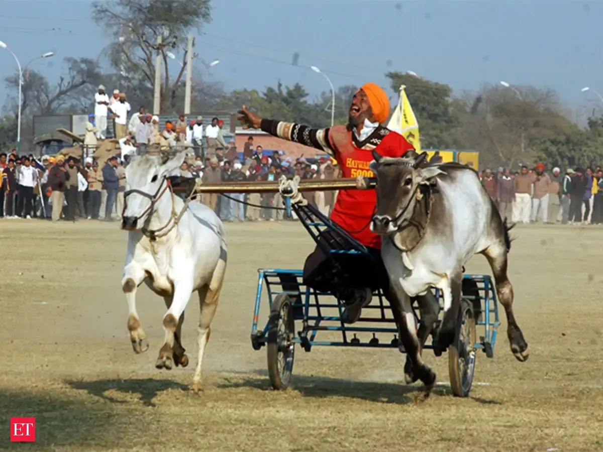 Following ban on animal races, rural Olympics is losing its charm ...