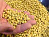 Soymeal exports could fall 38% on lower bean crop: Trade body
