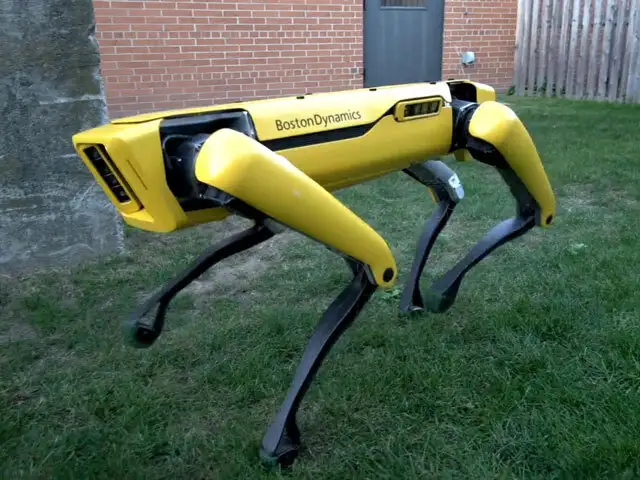boston dynamics rise