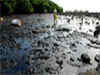 Mumbai oil spill to be cleared in 8 days