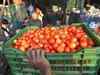 Tomato prices in MP fall from Rs 30/kg in Oct to Rs 2/kg