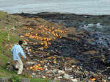 Goods swept ashore from damaged cargo Chitra