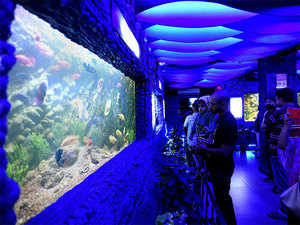 aquarium-BCCL