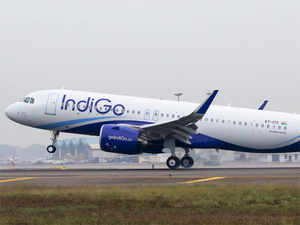 Indigo-