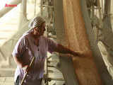 Ban on Russian grain export to continue till Dec 31