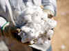 Remove royalty on BG-II cotton seeds: Swadeshi Jagran Manch