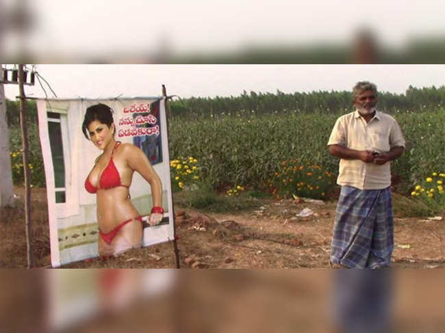 A Nellore farmer is harvesting a bumper crop, all thanks to Sunny Leone