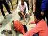 Boy falls into bore well in MP's Dewas, rescue operations on