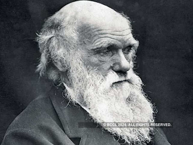 Charles Darwin: Ape and essence of scientific theory - The Economic Times