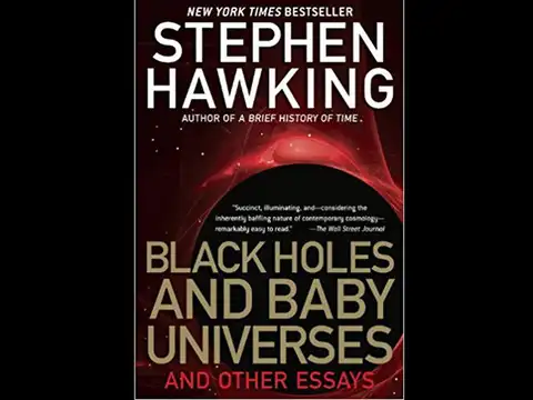 black holes and baby universes
