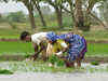 Signs of revival in rural India predict recovery for economy