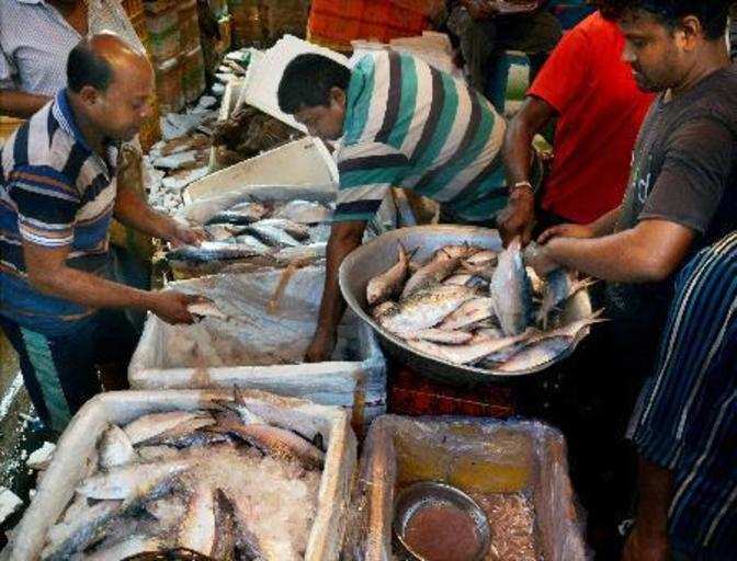 Fish on a click: Bengal's fish market starts home delivery - The ...