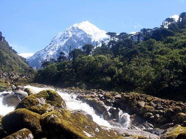 Khangchendzonga National Park, Sikkim