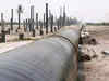 'Living' sensor may detect gas pipelines leaks in real time