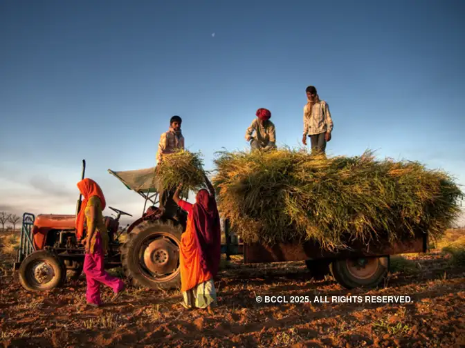 Stable trade policy needed to boost agri exports: Draft policy Stable trade policy needed to boost agri exports: Draft policy