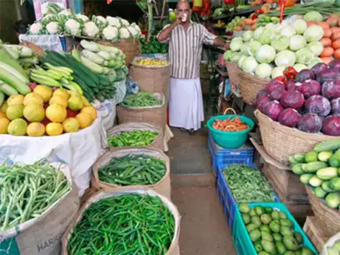 Domestic vegetable seeds industry expected to double in 5 years Domestic vegetable seeds industry expected to double in 5 years